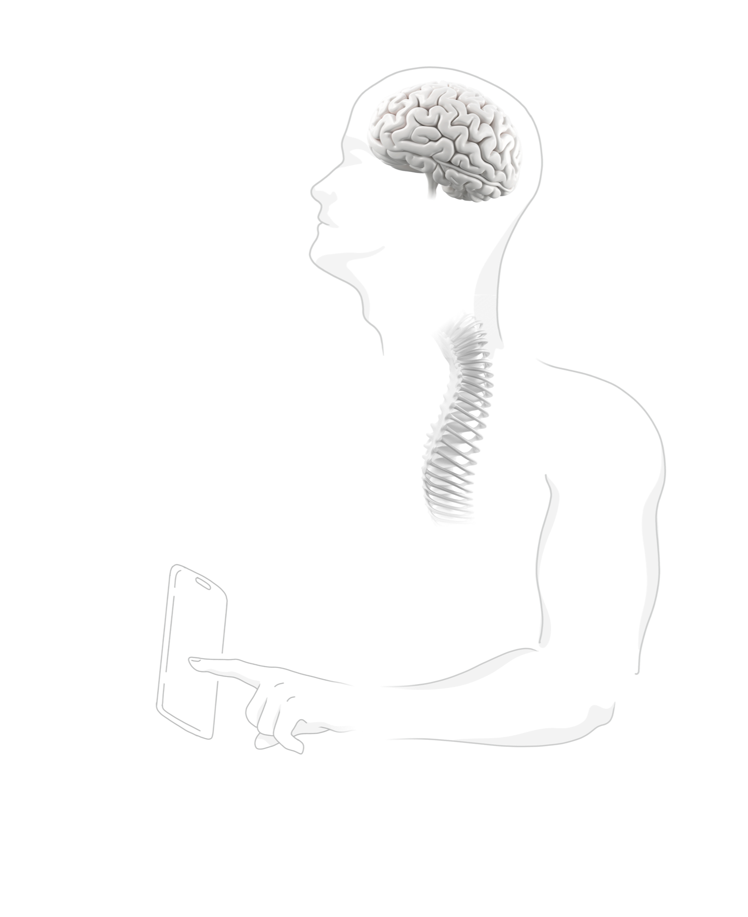 A human figure showing the signal pathway from brain to fingertip